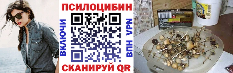 Псилоцибиновые грибы GOLDEN TEACHER Пролетарск
